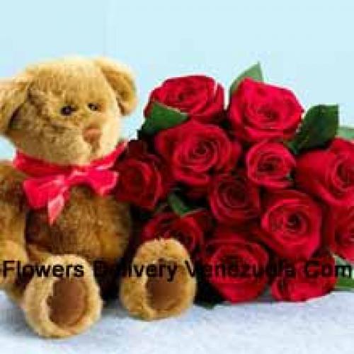 Bruine Teddybeer met mooie 12 rozen