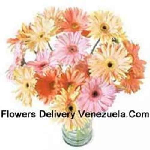 24 Gerberas Coloridas Variadas em um Vaso