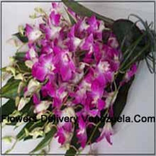 Buquê de Orquídeas Fofas